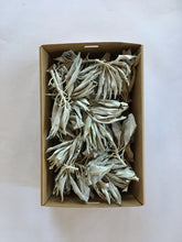 Load image into Gallery viewer, White Grandfather Sage Tips
