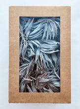 Load image into Gallery viewer, White Grandfather Sage Tips